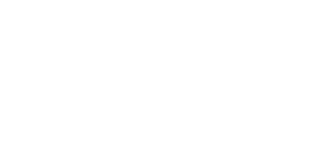 nznavylogo